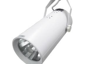 Procyon 3